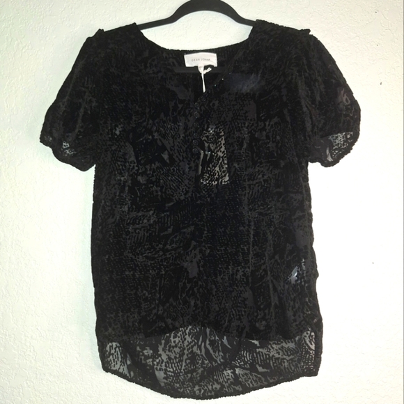 NWT Dear John Verona Spotted Velvet Sheer Top Size S Black Short Sleeve - Picture 1 of 13